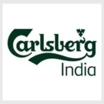Dubbing Services 6 carlsberg india